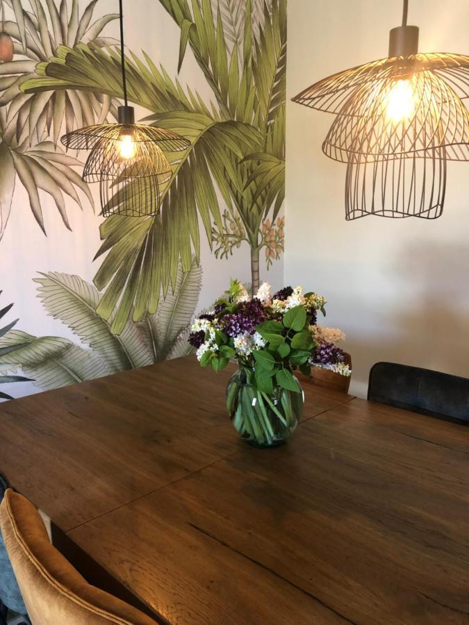 Domaine Mas Terra Bed & Breakfast แซงต์-ปอล-เดอ-เฟอนูเยต์ ภายนอก รูปภาพ