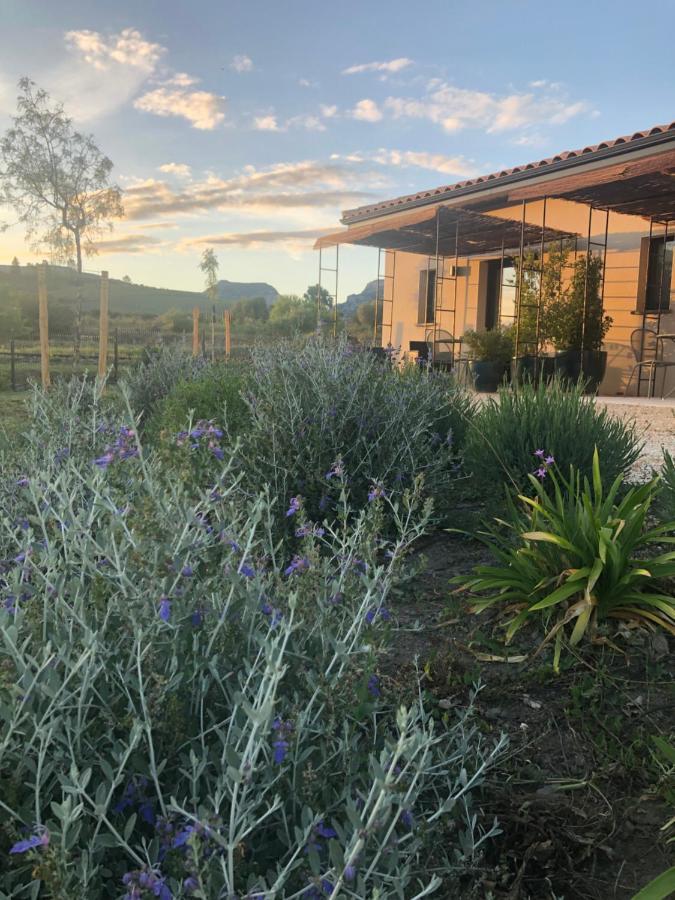 Domaine Mas Terra Bed & Breakfast แซงต์-ปอล-เดอ-เฟอนูเยต์ ภายนอก รูปภาพ